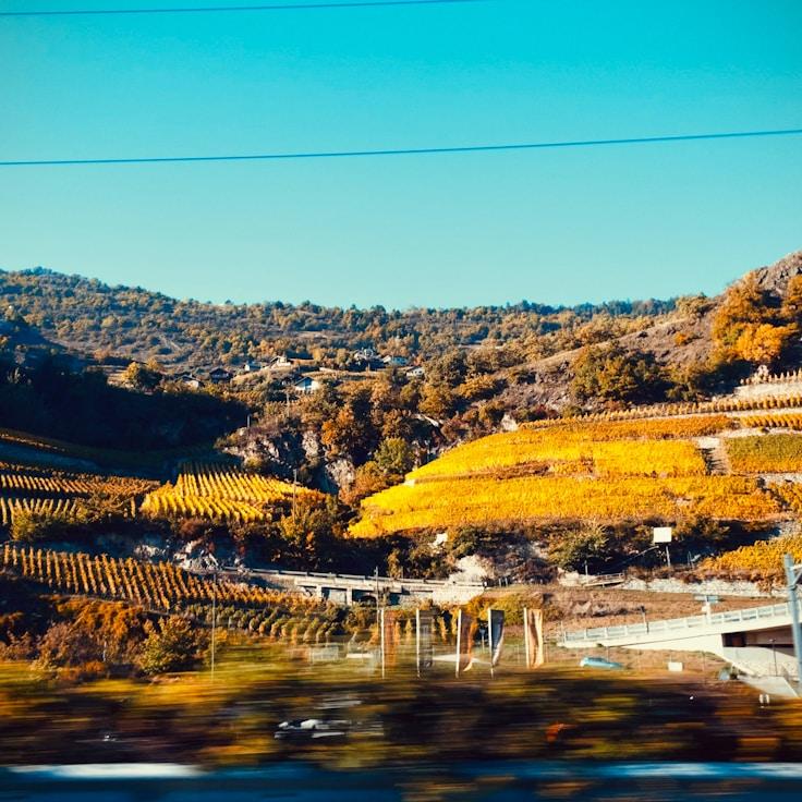 Outdoor terrace seating suitable for families in Naples
